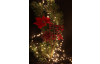Vánoční dekorace Mašle 2 ks, červený tartan