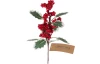 Vánoční květina Cesmína 30 cm, červená