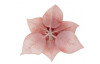 Umělý květ Vánoční hvězda na klipu, růžová, 20 cm