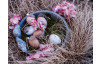 Velikonoční dekorace Vajíčka s pírkem (6 ks), hnědá/bílá