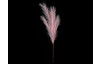 Umělá květina Pampas tráva 77 cm, růžová