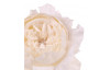 Umělá květina Anglická růže 51 cm, bílá