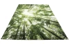 Koberec Belis 120x170 cm, zelený les