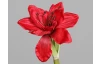 Umělá květina Vánoční amarylis 30 cm, červená