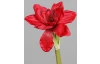 Umělá květina Vánoční amarylis 30 cm, červená
