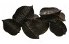 Kovová nástěnná dekorace Barevné listy, 75x40 cm