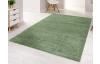 Koberec Montana 120x170 cm, mátově zelená