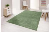 Koberec Montana 120x170 cm, mátově zelená
