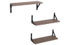 Sada 3 kusů polic Lamezia, dub sonoma