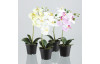 Umělá květina v květináči Orchidea, 35 cm