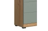 Vysoká skříňka s přihrádkami Scout, dub artisan/šalvějově zelená