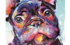 Obraz na plátně Francouzský buldoček, 35x35 cm, efekt ruční malby
