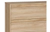 Komoda Arank 118  cm, dub mauvella/černá