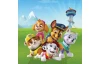 Dětský obraz Paw Patrol věž, 35x35 cm