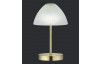 Stolní LED lampa Queen 24 cm, matná mosaz/bílé sklo