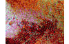 Koberec Belis 120x170 cm, barevný abstraktní motiv