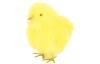 Velikonoční dekorace Kuřátko 16 cm, žlutá