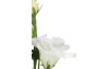 Umělá květina Eustoma 80 cm, bílá