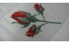 Ložní set Romantik, vzor růže