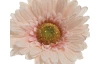 Umělá květina Gerbera 50 cm, broskvová