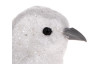 Vánoční ozdoby (2 ks) Ptáček s klipem, bílý třpytivý