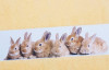 Dětská osuška 75x150 cm, motiv králíci, žlutá