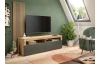 TV stolek s lamelovým panelem Okai, dub artisan/antracit