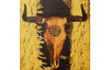 Obraz na zeď Boho býčí lebka, 65x65 cm