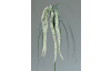 Umělá květina Laskavec (Amaranthus), krémová