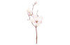 Vánoční dekorace Zasněžená magnolie 50 cm, růžová