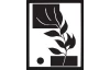 Rámovaný obraz Černobílá rostlinná abstrakce IV, 24x30 cm