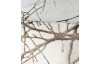 Koberec Creation 80x150 cm, vzor větve
