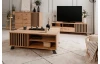 TV skříňka Merida, dub artisan/antracit