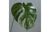 Umělá rostlina Filodendron list, zelený