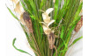 Dekorační sušená kytice COCO 35790