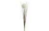 Umělá květina Okrasný česnek 66 cm, bílá