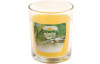 Vonná repelentní svíčka ve skle, citronella