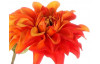 Umělá květina Jiřinka 75 cm, oranžová