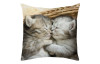 Dekorační polštářek Spící koťata, 25x25 cm