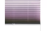 Plisé žaluzie Artist 75x130 cm, fialové