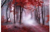 Obraz na plátně Karmínový les, 118x78 cm