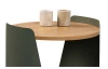 Odkládací stolek Sandro 2, dub/šalvějově zelený