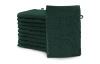 Žínka na mytí Miami 15x21 cm, zelená