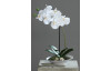 Umělá květina Orchidej v misce 32 cm, krémová