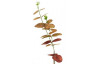 Umělá květina Eukalyptus, 51 cm