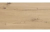 Šatní skříň se zrcadlem Savina 225 cm, dub artisan/šalvějová