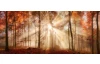 Panoramatický obraz na plátně Podzimní les, 140x60 cm