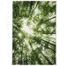 Koberec Belis 80x150 cm, zelený les