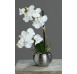 Umělá květina Orchidej v květináči, krémová 30 cm