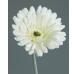 Umělá květina Gerbera 56 cm, krémová
